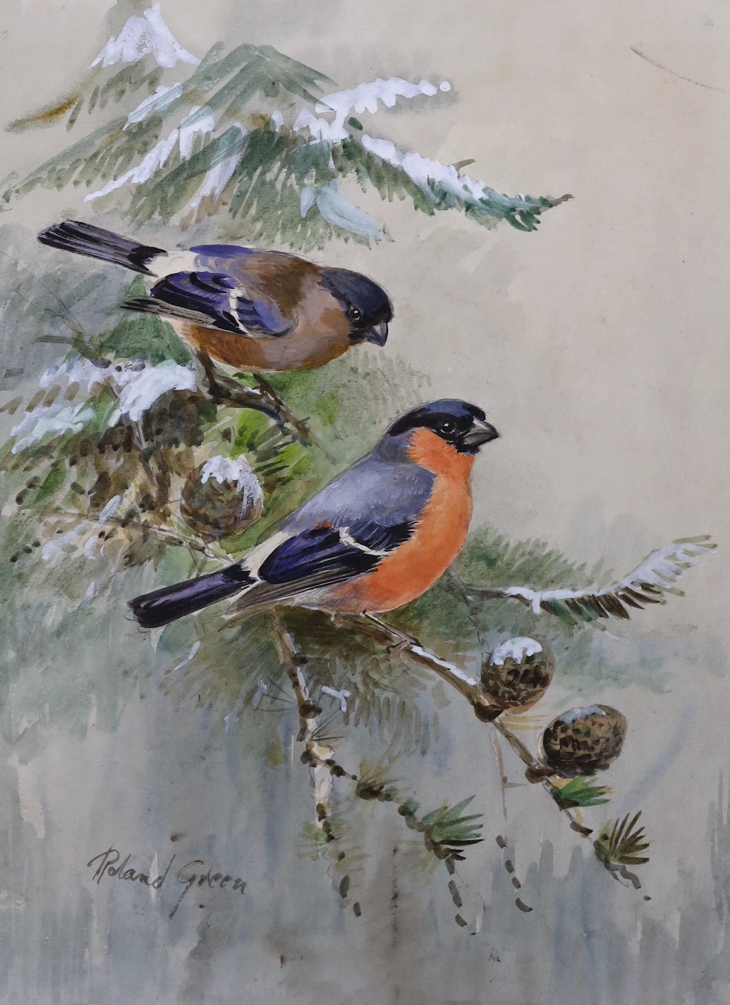 Roland Green (1890-1972), four watercolours, garden birds, signed, unframed, largest 28 x 23cm